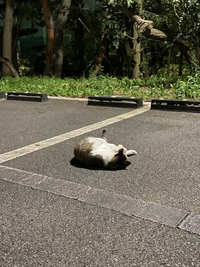 술레방아 이미지
