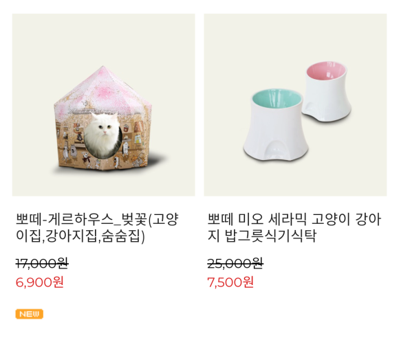 뽀데이 이미지
