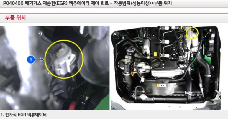 카데렐라 이미지