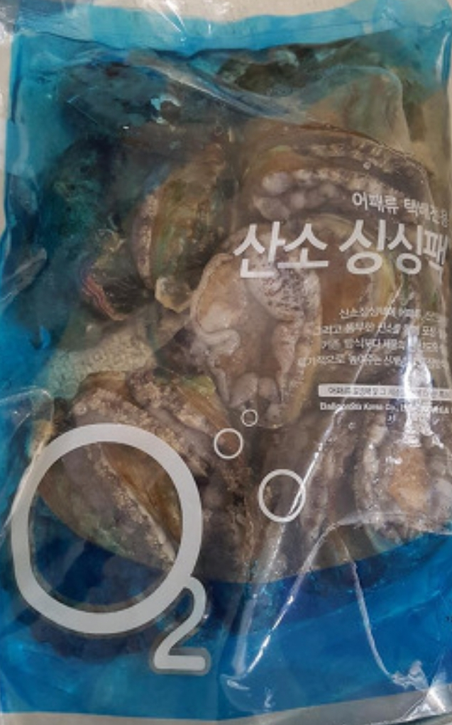 완도유치원 이미지
