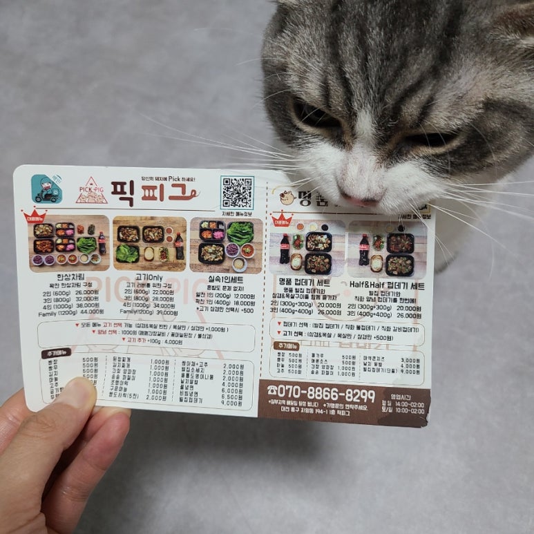 픽피그 이미지