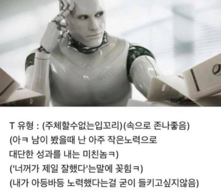 선미포차 이미지