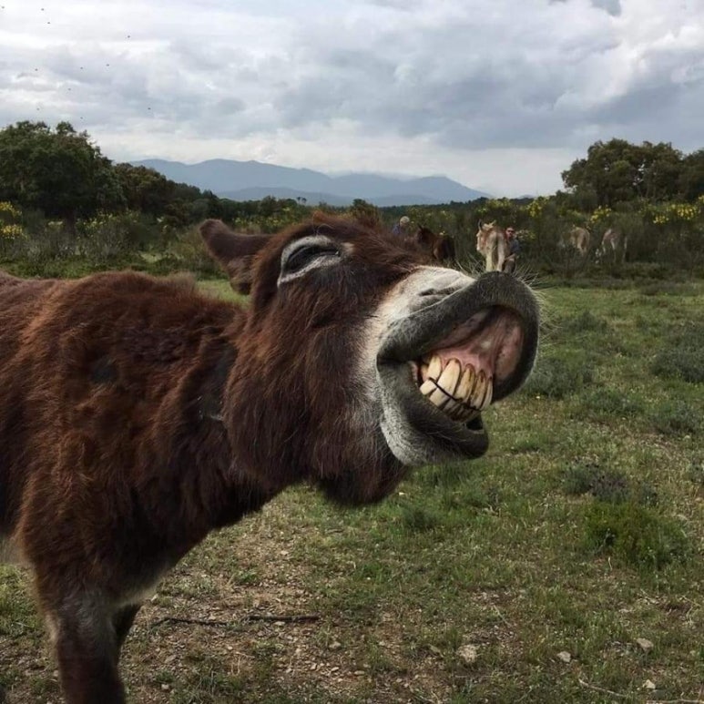 갤러리티움 이미지