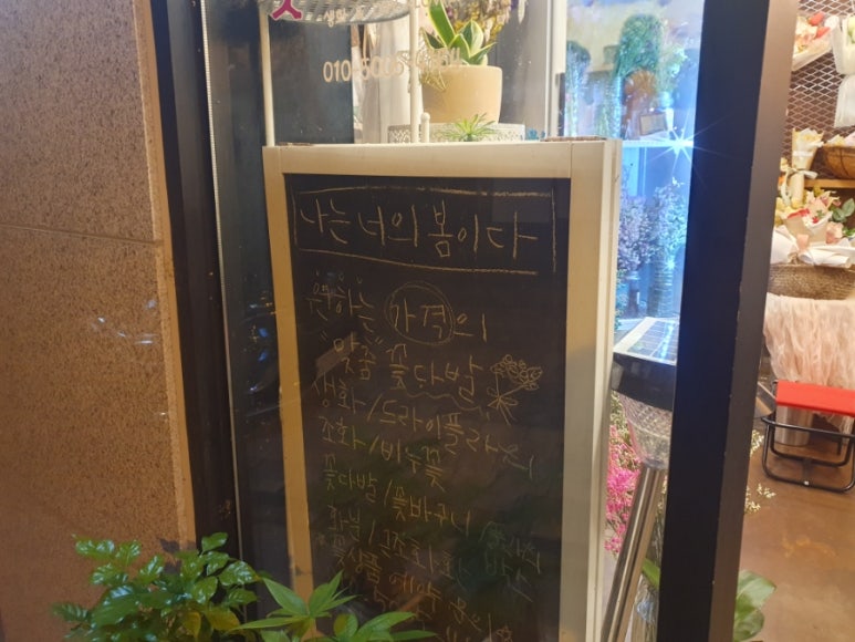 나는너의봄이다 이미지