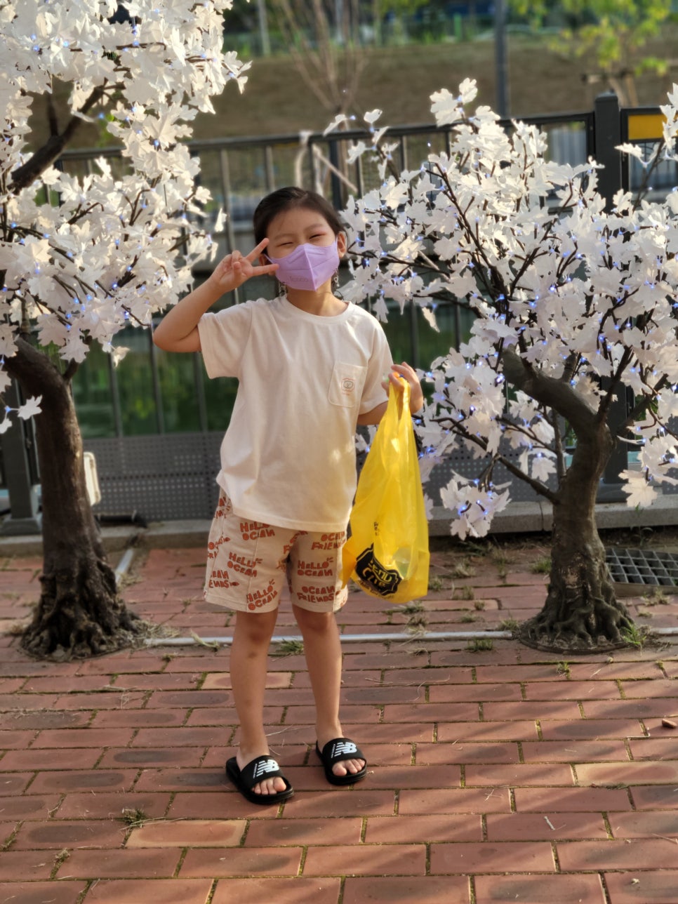 THE램 이미지