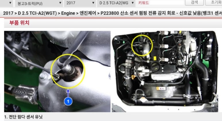 카데렐라 이미지