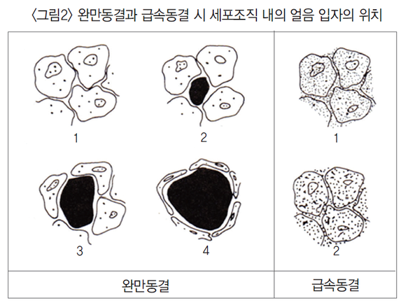 성대식품 이미지