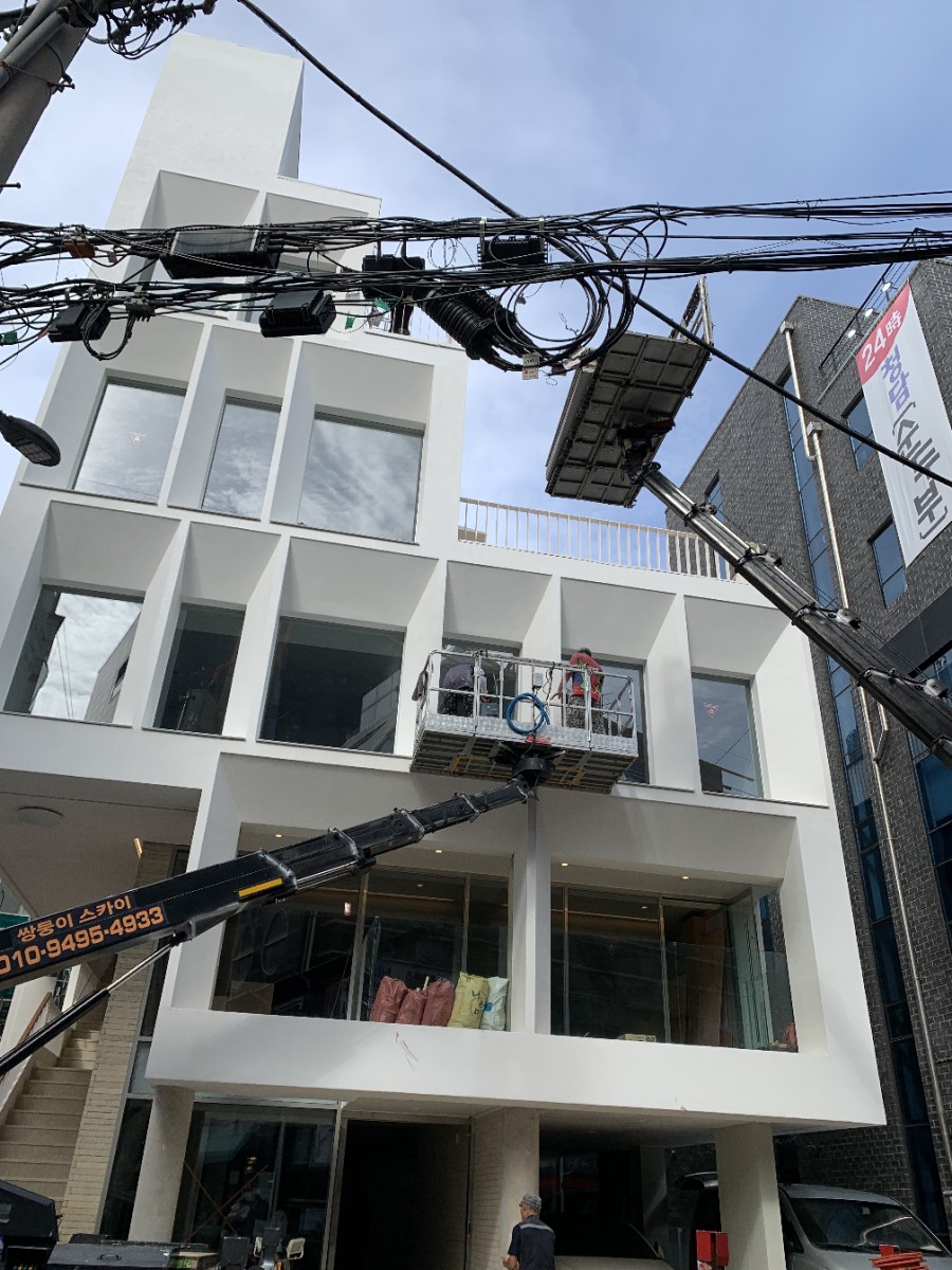 그린헤어 이미지
