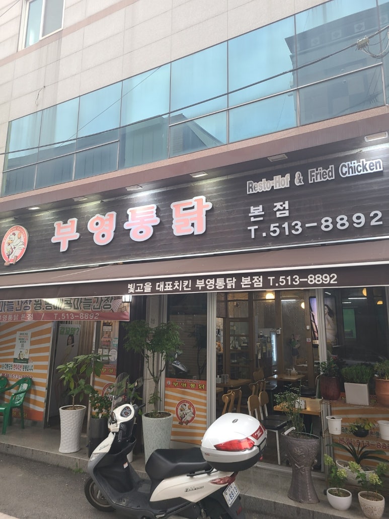 부영통닭 이미지