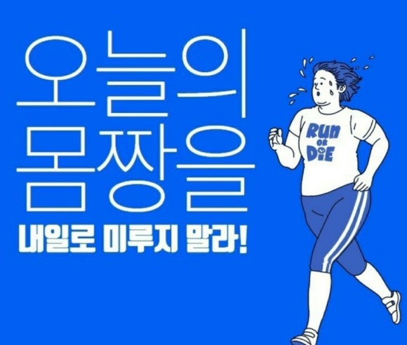 나르샤점핑클럽 이미지