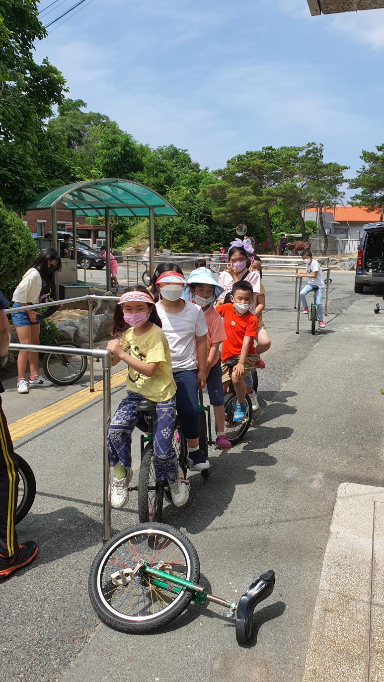 대구교육대학교안동부설초등학교 이미지