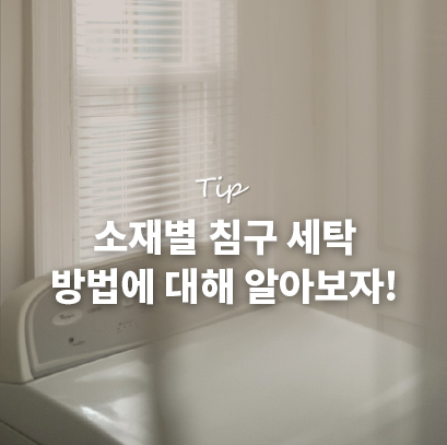 동진세탁 이미지