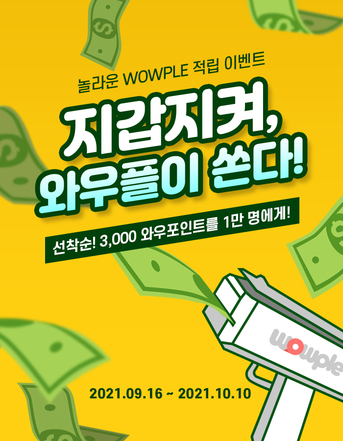 주식회사 와우포인트 이미지