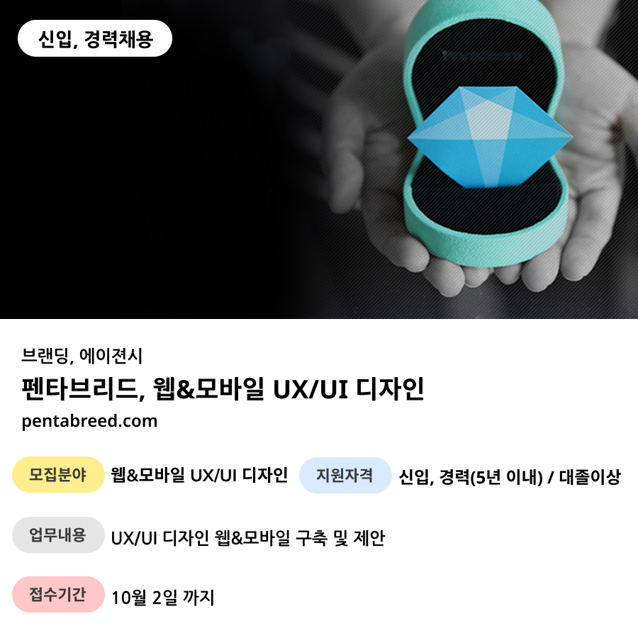 펜타디자인 이미지