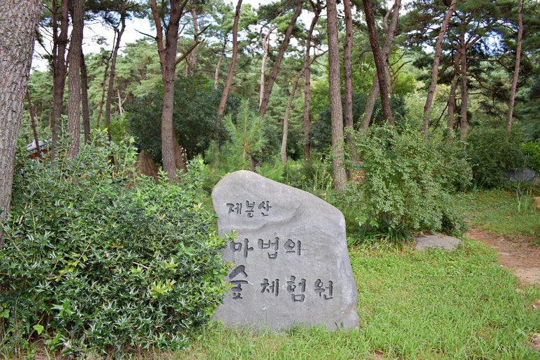 제봉산 마법의 숲체험원 이미지