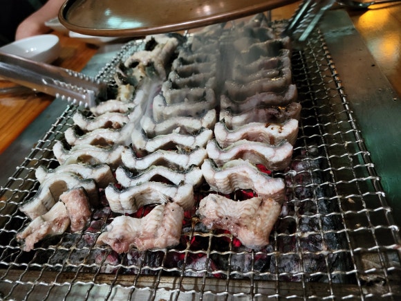 풍천백세장어 이미지