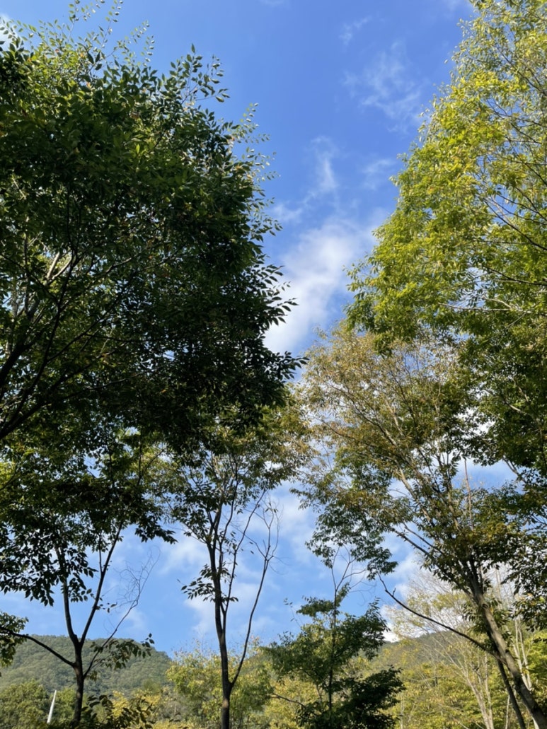 노일강캠핑장 이미지