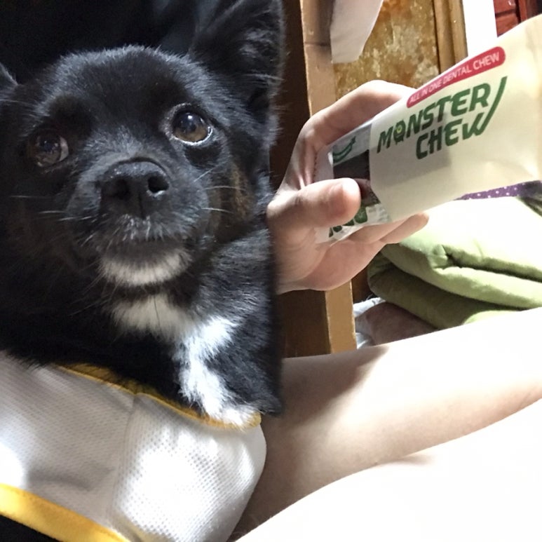 몬스터츄 이미지