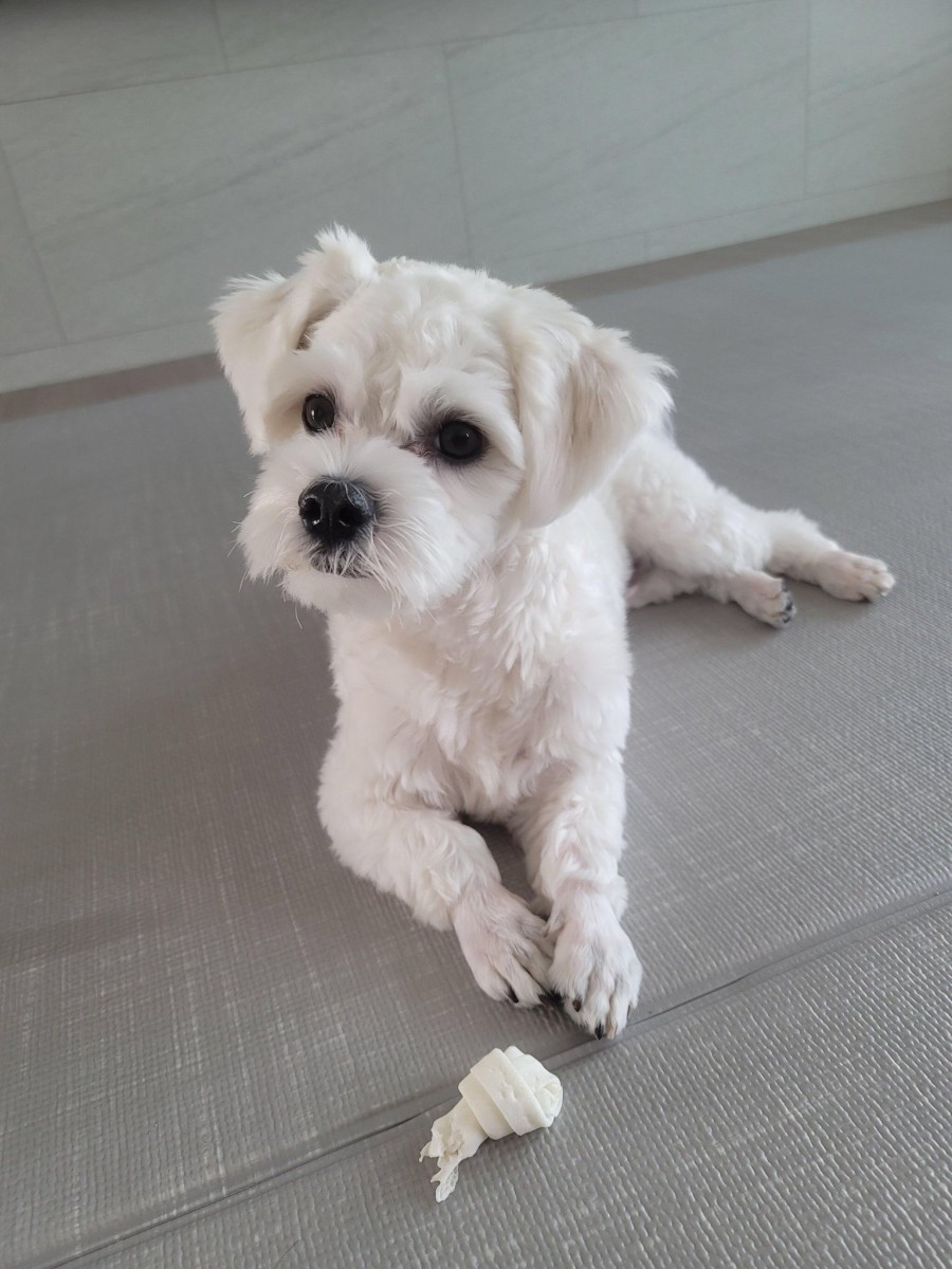 #정원 이미지