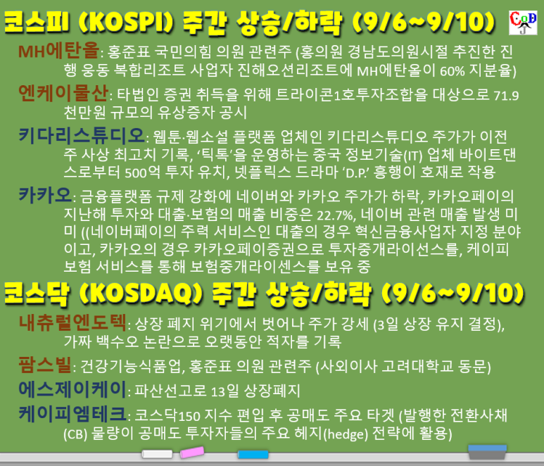 법인엔케이 이미지