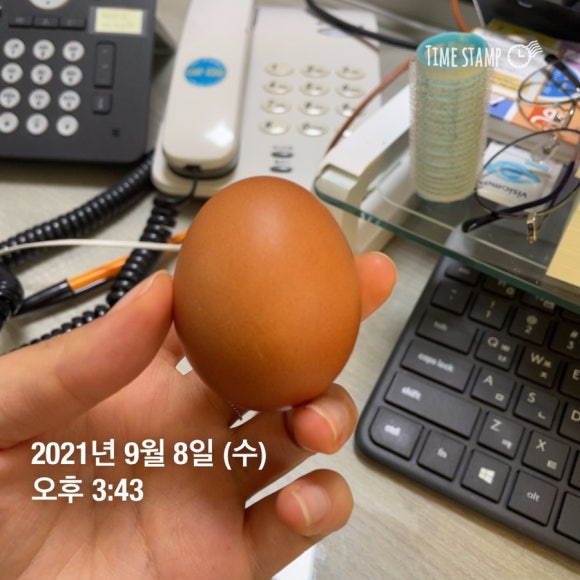 공복을부탁해 이미지