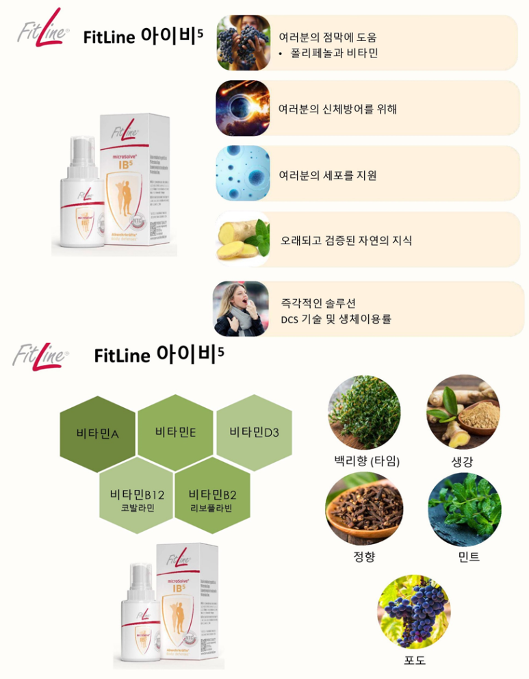 아이비라인 이미지