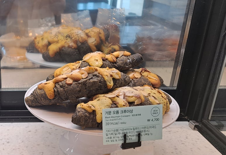 홀스홀릭포니클럽 이미지