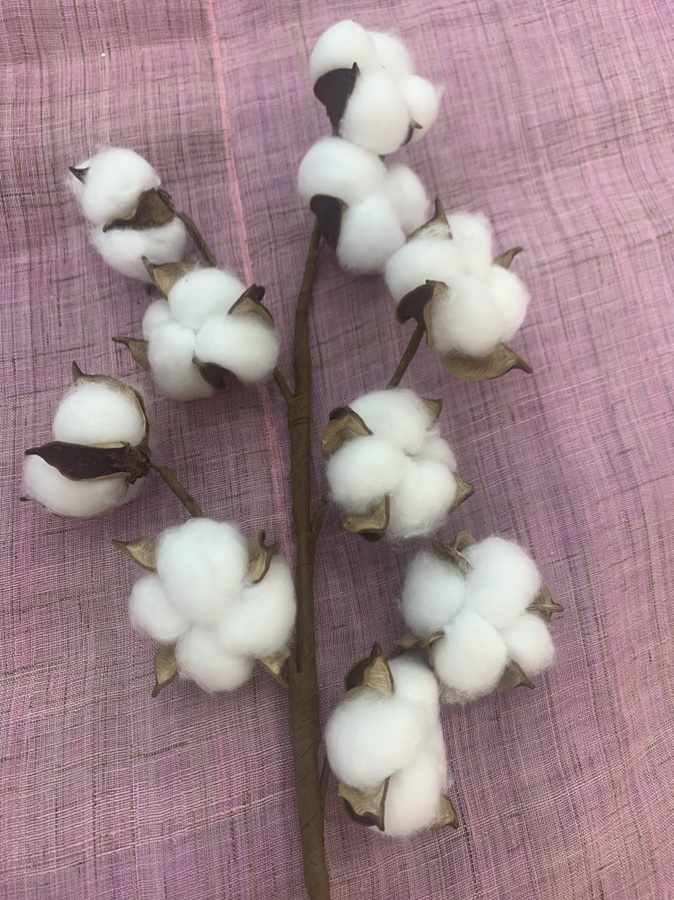 효성카바 이미지