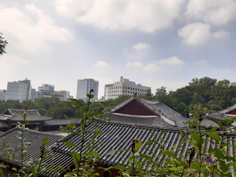 전안과의원 이미지