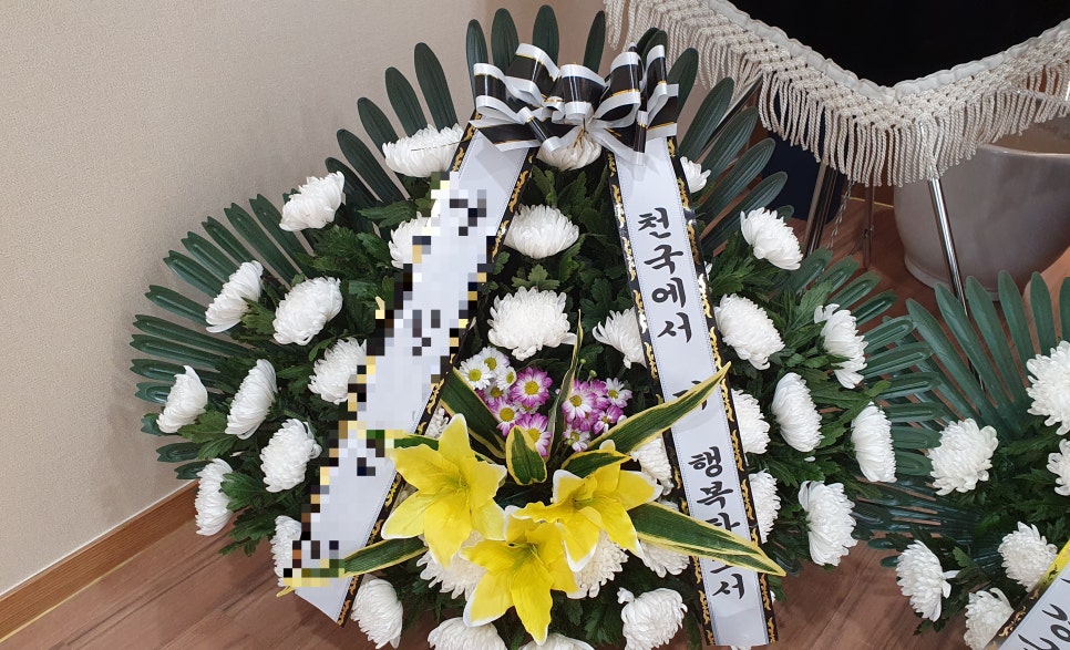 갈마꽃집 이미지