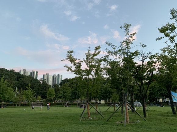 마니마니닭강정 이미지