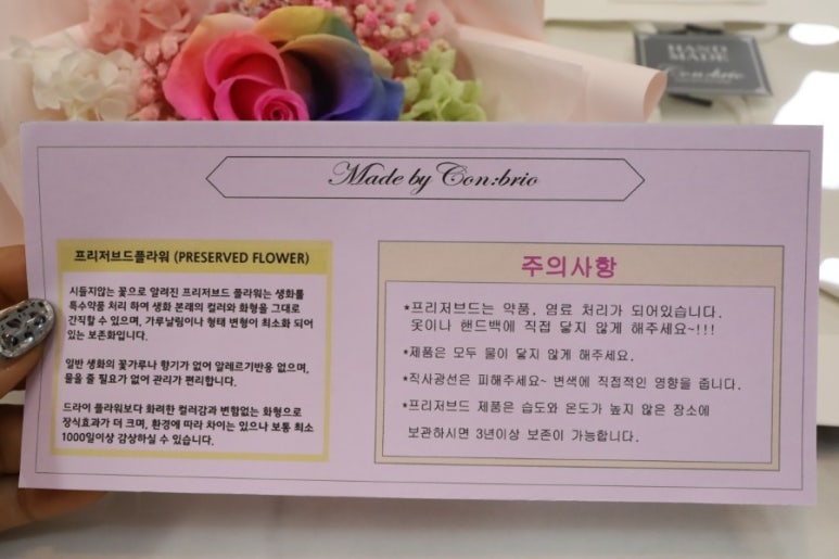 컨브리오 이미지