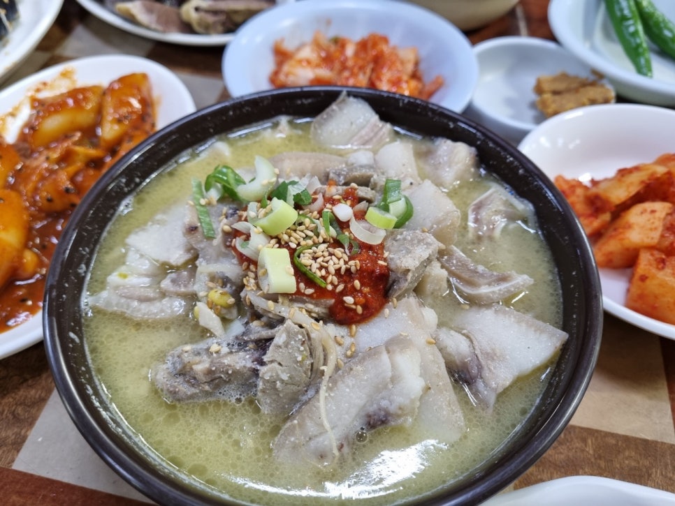 양동머리고기 이미지