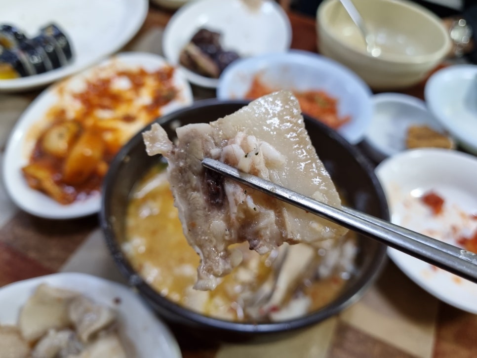 양동머리고기 이미지