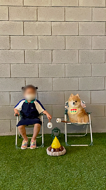 바운스독카페 이미지