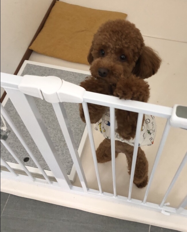 네일;연이가 이미지
