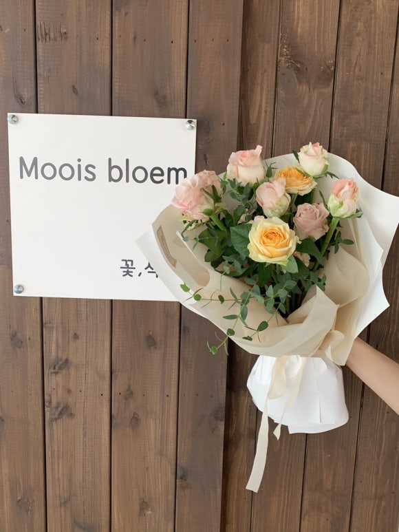 모이스블룸 이미지