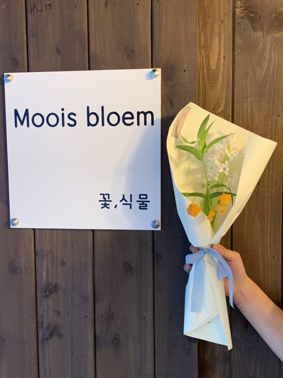 모이스블룸 이미지
