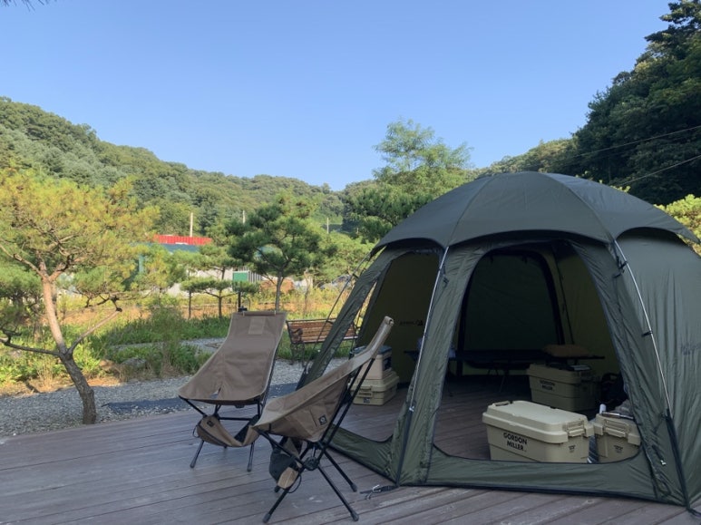 초리포레스트 이미지