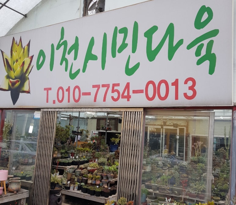 이천시민다육 이미지