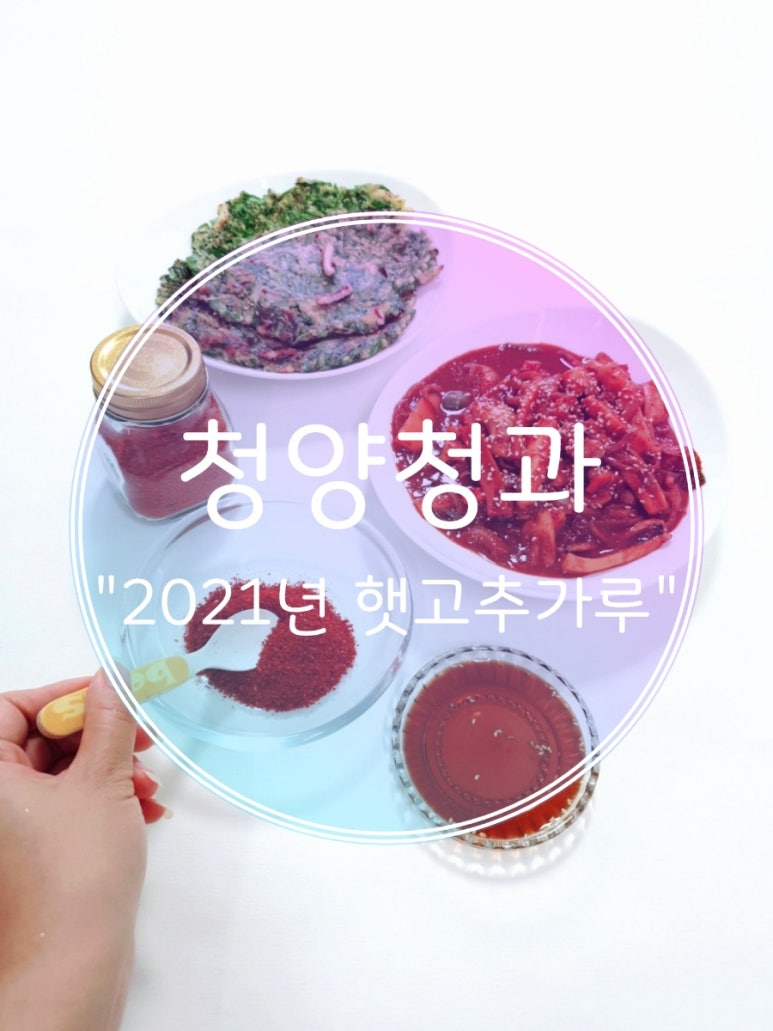 신선청과 이미지