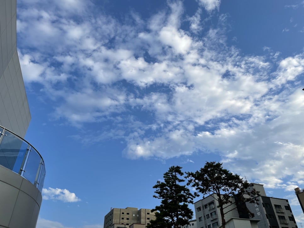 커피앤카롱 이미지