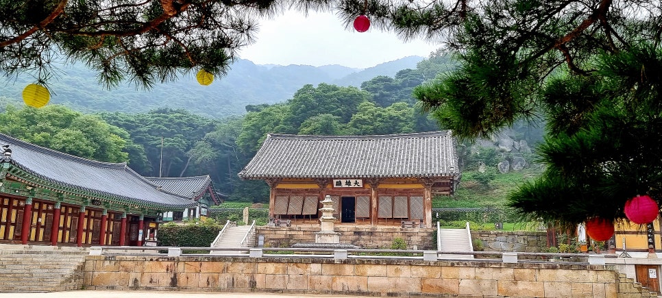 꿈마을동산 이미지