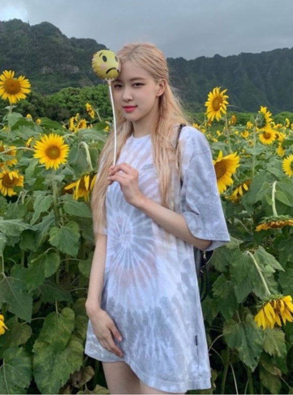 팔도물산 이미지