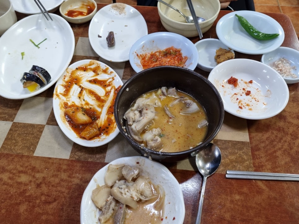 양동머리고기 이미지