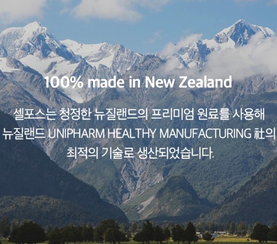 도도인터내셔널 이미지