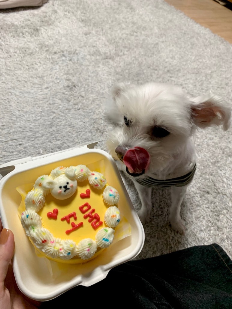 오늘은 윤날 이미지