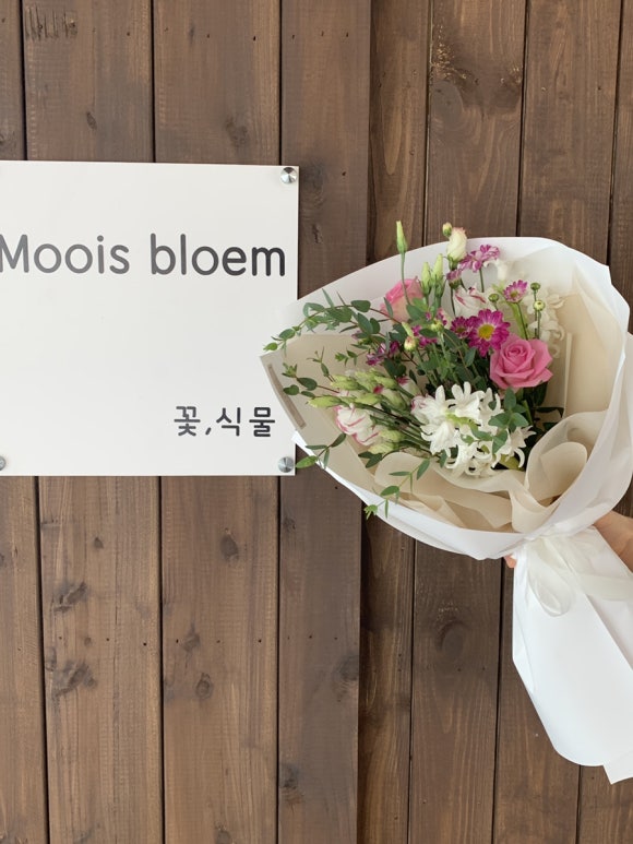 모이스블룸 이미지