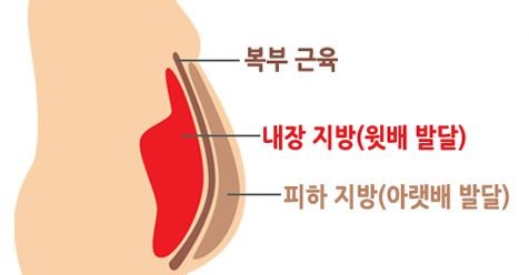 백**수(주) 이미지