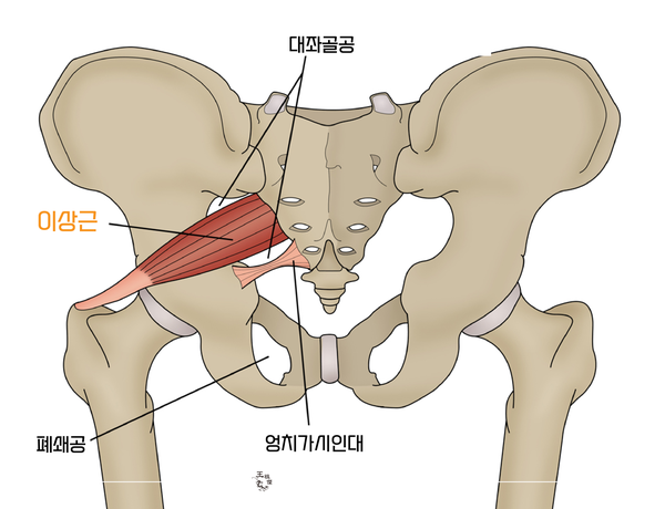왕조걸한방병원 이미지